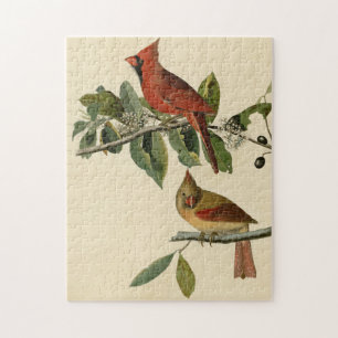 Kardinal Grosbeak från Audubon's Birds of America Pussel