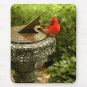 Kardinal i Central Park Mousepad Musmatta