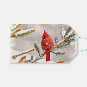 Kardinal i ett grästräd i vinter presentetikett