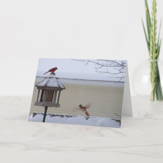 Kardinal i flyg helgkort