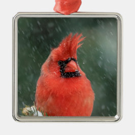 Kardinal i gräs träd under stormen snö julgransprydnad metall