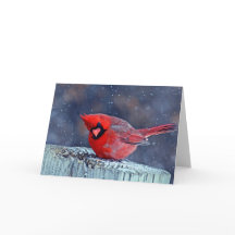 Kardinal i hälsningskort i Snö