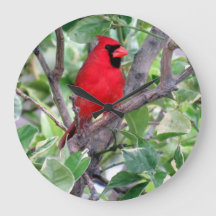 Kardinal i Lemon Träd-Backyard Bird Clock
