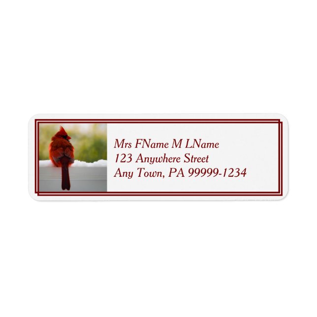 Kardinal i Snö Returadress Etikett (Framsidan)