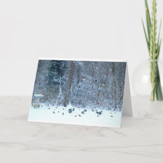 Kardinal i snöhälsningkortet kort