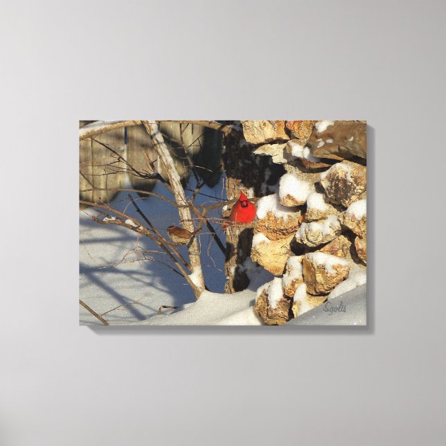 Kardinal i snön canvastryck (Framsida)