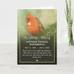 Kardinal i Spruce 5x7 Tack Sympathy Card Kort