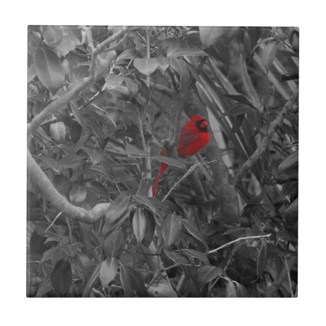 Kardinal i Träd Kakelplatta (Framsidan)