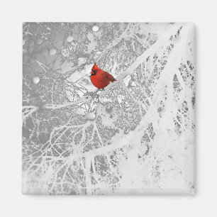 Kardinal i vinter magnet