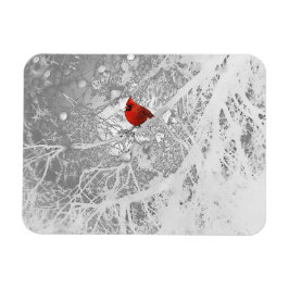 Kardinal i Winter Magnet