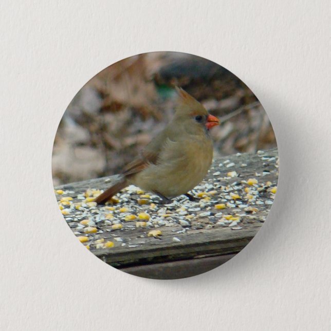 Kardinal (kardinalis cardinalis) Honlig Songbird Knapp (Framsida)