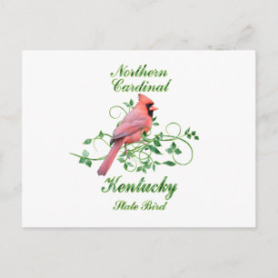 Kardinal Kentucky State Bird Vykort