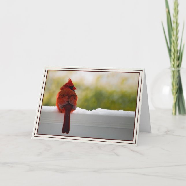 kardinal kort (Framsida)