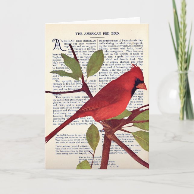 Kardinal Kort (Framsida)