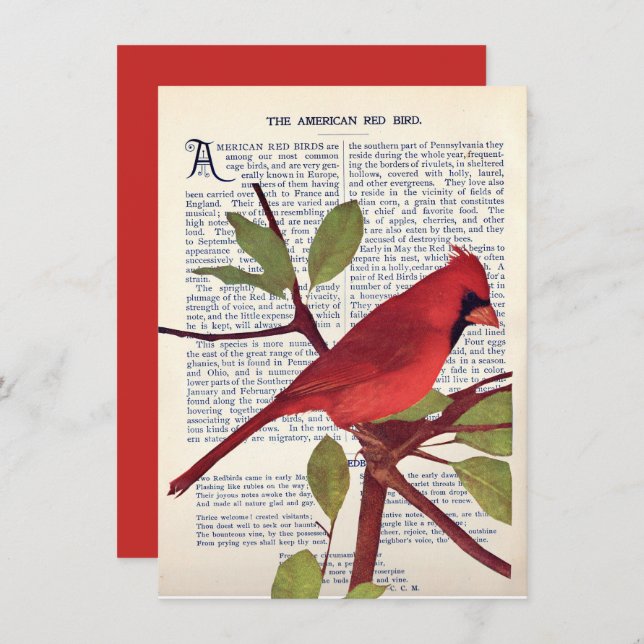 kardinal kort (Fram/baksida)