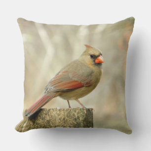 Kardinal (kvinnlig) på post Pillow Kudde