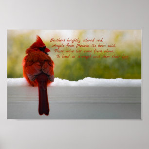 Kardinal med besökare från himmeldikt 12x8 poster