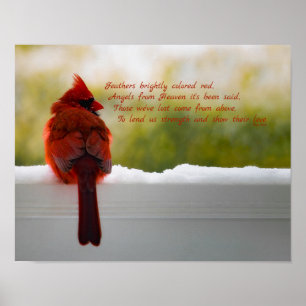 Kardinal med besökare från himmeldikt 14x11 poster