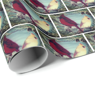 Kardinal Northern Red Bird Pair Presentpapper