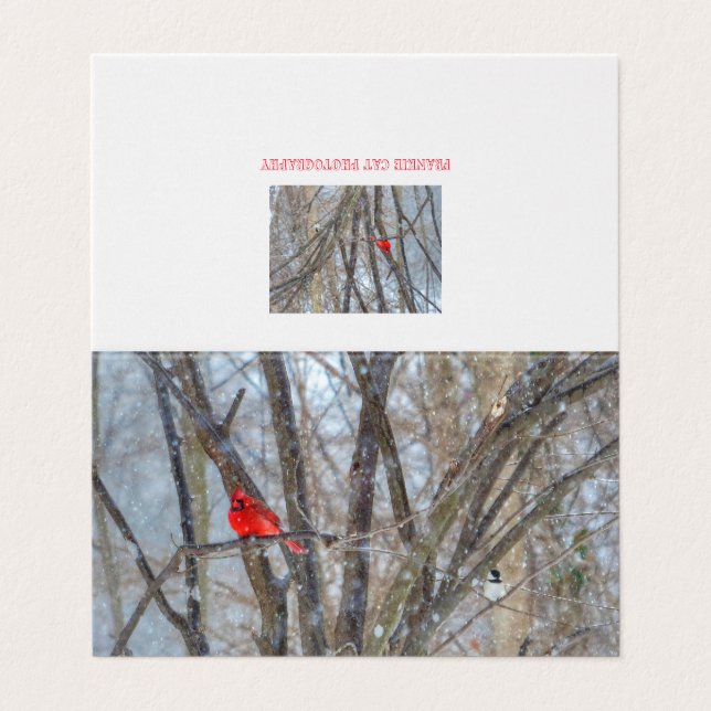 Kardinal- och Chickadee-gratulationskort Kort (Utsida ovikt)