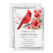 Kardinal och Hibiscus Life-Tribute