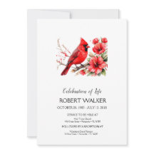 Kardinal och Hibiscus Life-Tribute