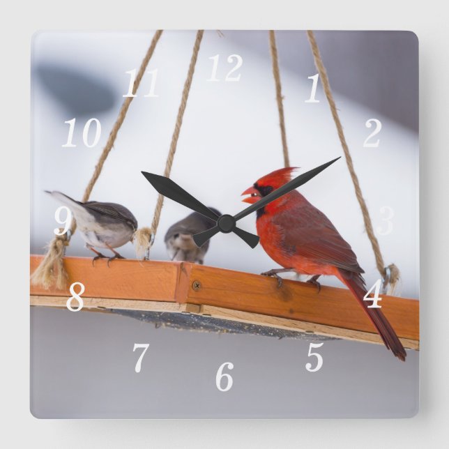 Kardinal och Juncos Wall Clock Fyrkantig Klocka (Framsida)