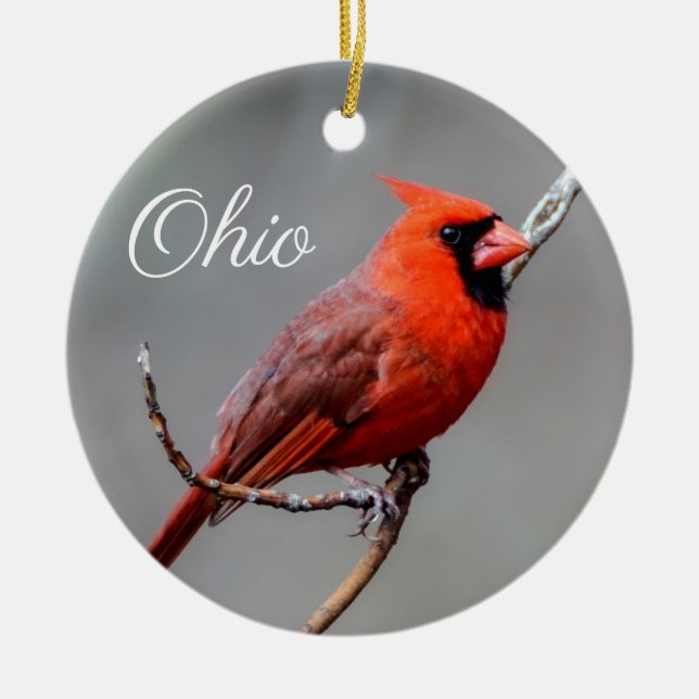 Kardinal Ohio Ornament (Framsidan)