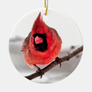 Kardinal Ornament