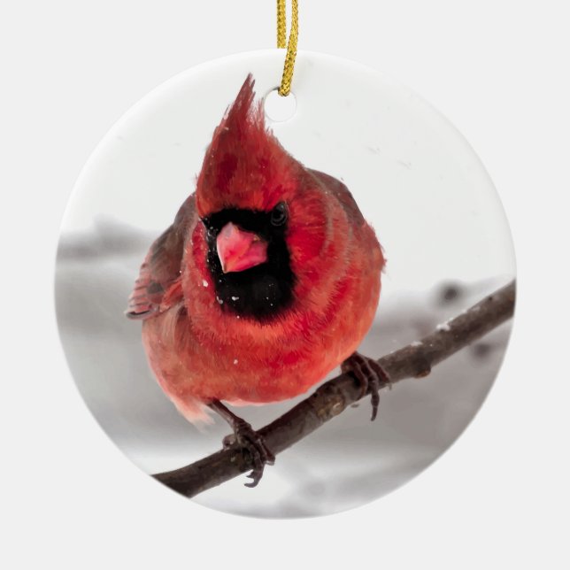 Kardinal Ornament (Framsidan)