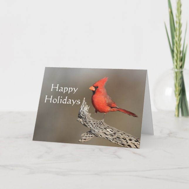 Kardinal på en cholla revben, God Jul Helgkort (Framsida)