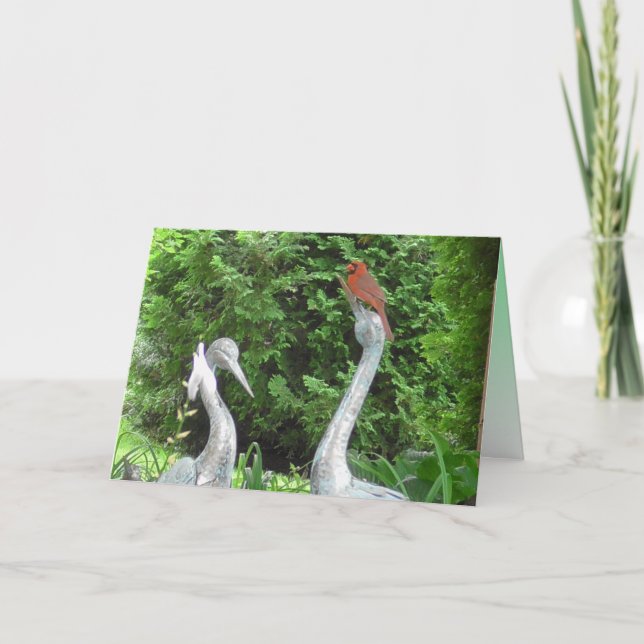 Kardinal på Pelicans Blank Kort (Framsida)