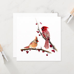 Kardinal Pair Watercolor