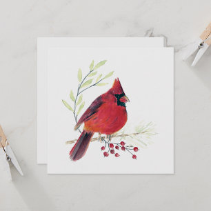 Kardinal Red Bird Art
