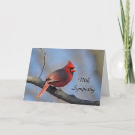 Kardinal Red Songbird Sympathy Kort