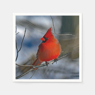 Kardinal Red Winter Photo Pappersservett
