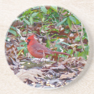 Kardinal Songbird Underlägg