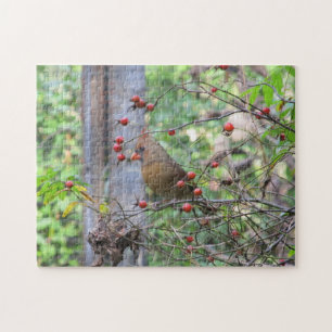Kardinal vid Bird Feeder omgiven av Red Berries Pussel