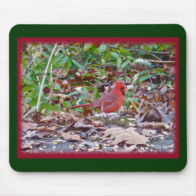 Kardinal Vild Songbird Series Musmatta (Framsidan)