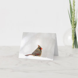 Kardinalanteckning/gratulationskort Kort