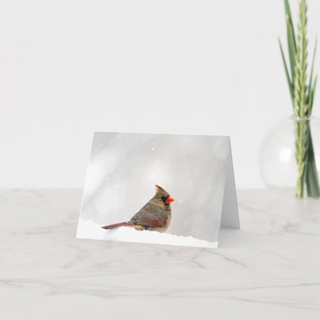 Kardinalanteckning/gratulationskort Kort (Framsida)