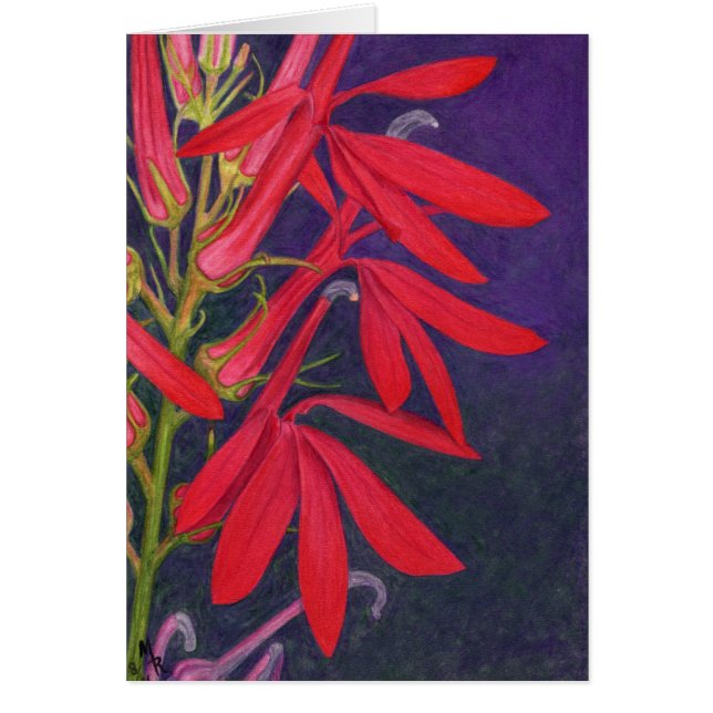 Kardinalblomningskort Hälsningskort (Framsidan)