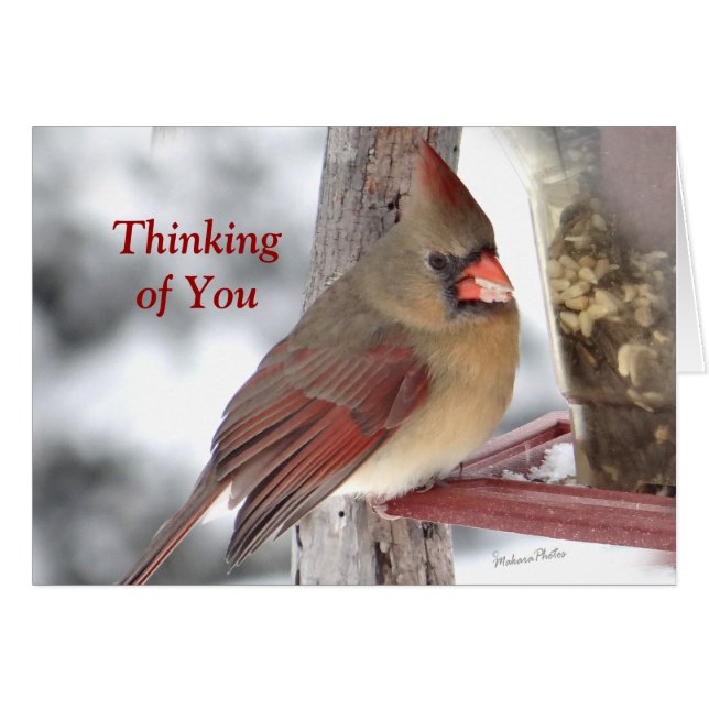 Kardinalen 6649 TofY - skräddarsy Hälsningskort (Framsidan Horizontal)