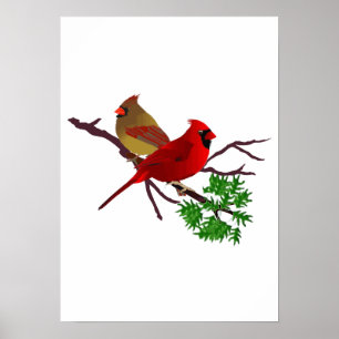 Kardinalen kopplar ihop på en gren poster