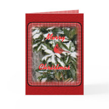 Kardinalen på snöig magnolia skräddarsy