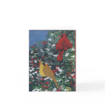 Kardinalen parar på ett grästräd