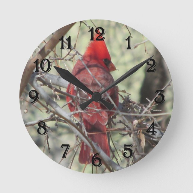 Kardinalen tar tid på rund klocka (Framsida)