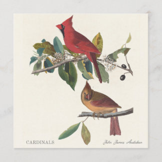 Kardinaler av John James Audubon