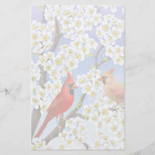 Kardinaler i brevpapper för blommarträd