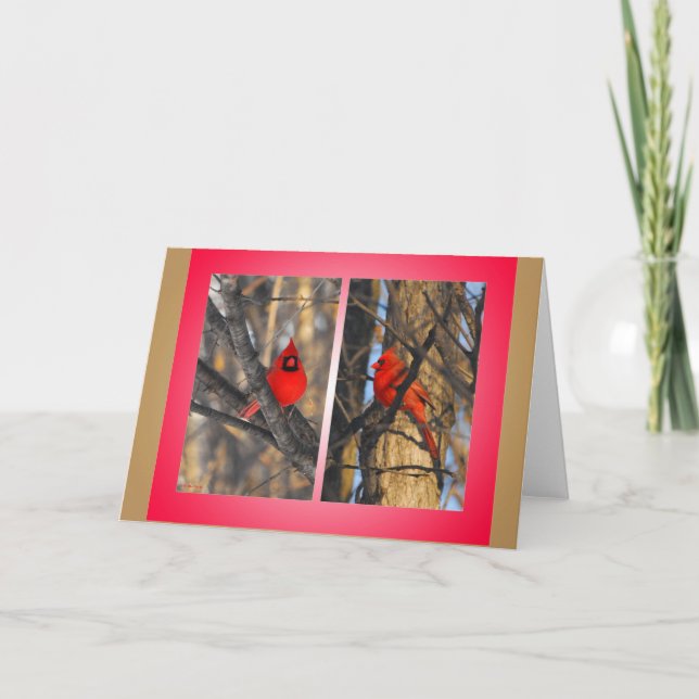 Kardinaler i "en knaprig" vintermorgon helgkort (Framsida)
